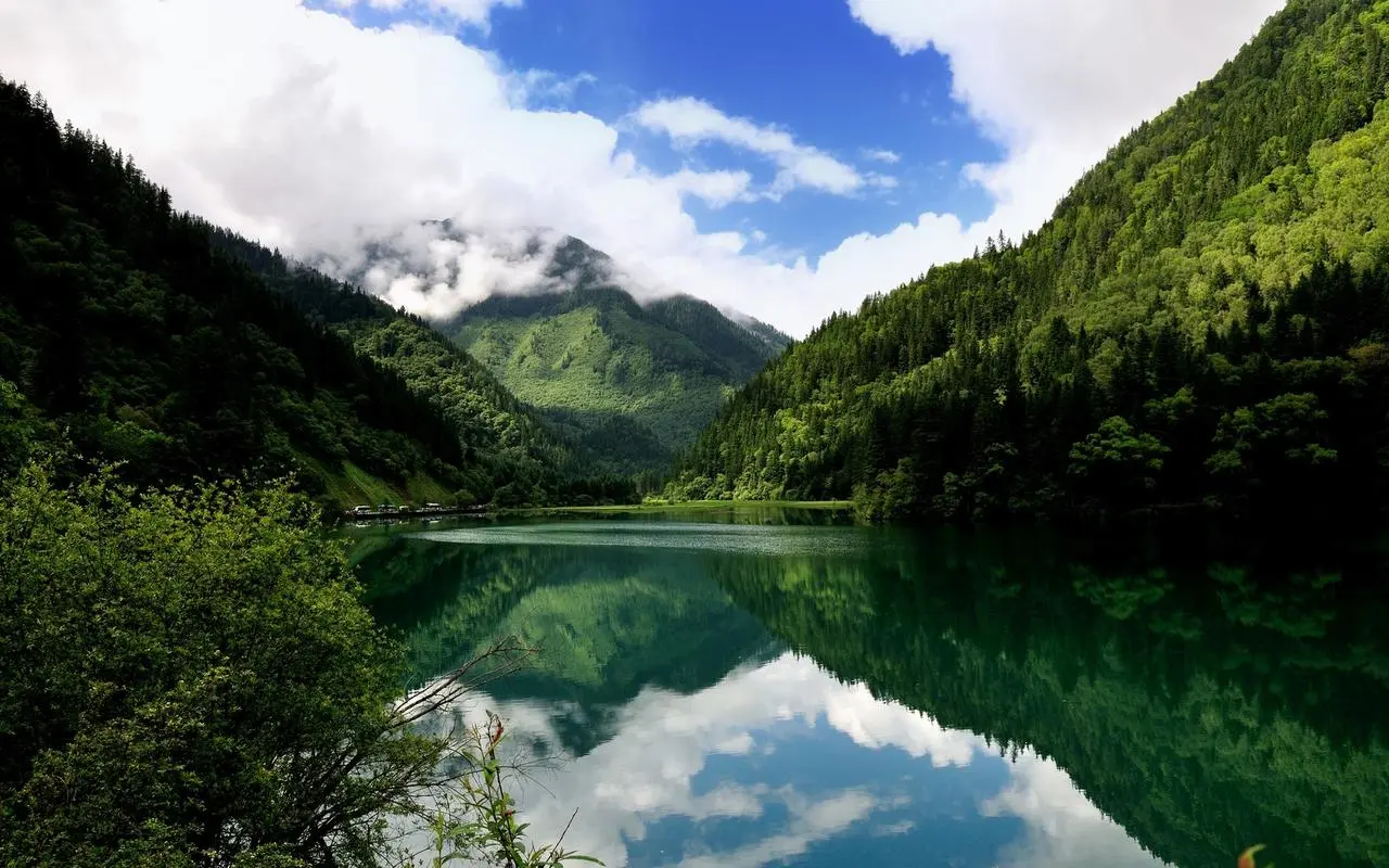 高效科技